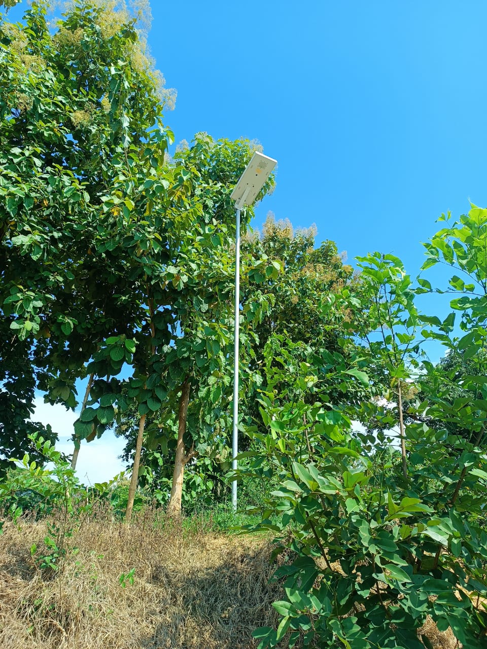 Solar Street Light Installation